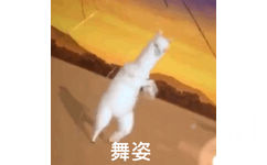 舞姿（沙雕羊驼 GIF 动图）