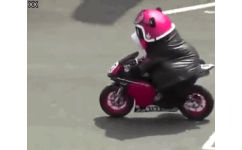 熊猫头骑摩托车动图