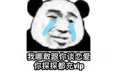 我哪敢跟你谈恋爱你探探都充vip