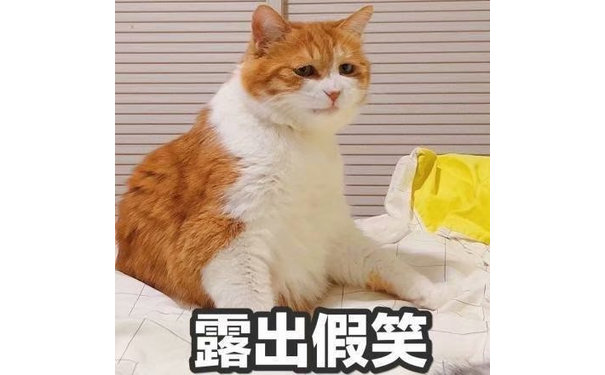 露出假笑（猫咪）