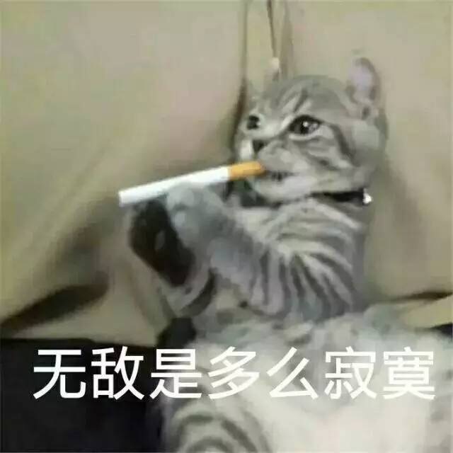 无敌是多么寂寞