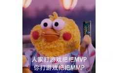 人家打游戏把把 MVP，你打游戏把把 MMP - 游戏重要还是我重要？ ​