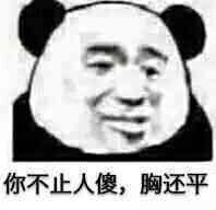 你不止人傻,胸还平(熊猫头怼人表情)