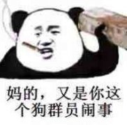 妈的，又是你这个狗群员闹事