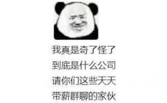 我真是奇了怪了到底是什么公司请你们这些天天带薪群聊的家伙