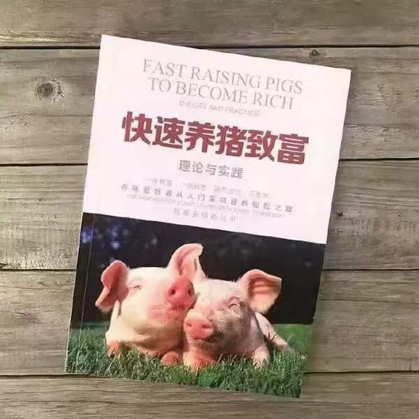 快速养猪致富 - 少吃零食，多看书看上哪本自己挑吧