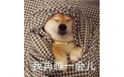 我再睡一会儿 - 柴犬被窝表情包