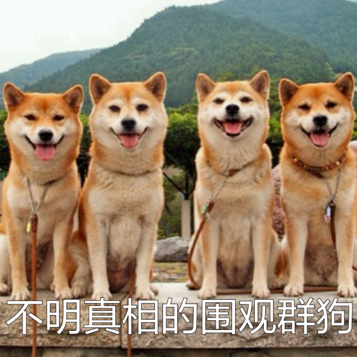 不明真相的围观群狗 - 柴犬doge真是一个表情包巨头