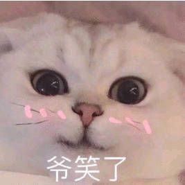 爷笑了(猫咪)