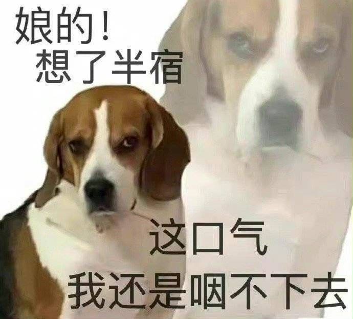 娘的!想了半宿这口气我还是咽不下去