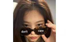 don't care - Jennie表情包
