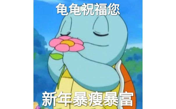 龟龟祝福您新年暴瘦暴富 - 新年快乐表情包