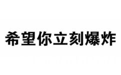 希望你立刻爆炸 - 微信纯文字表情包