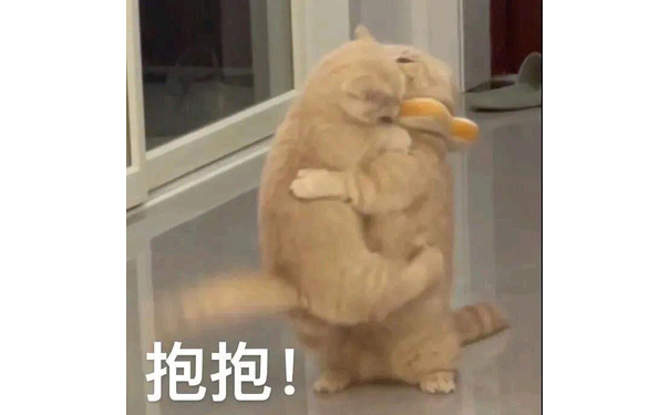 抱抱!(猫咪亲亲表情包)