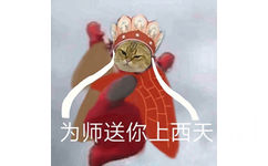 猫猫头西游记 为师送你上西天 - 小猫咪版天线宝宝西游记表情包