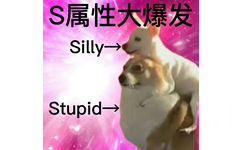 S属性大爆发Silly→Stupid→