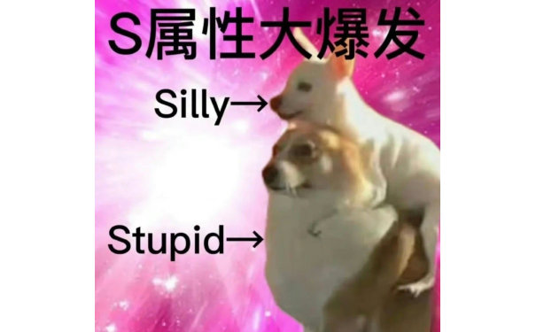 S属性大爆发Silly→Stupid→