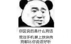 你这说的是什么狗话我往手机屏上放块肉狗都比你说话好听