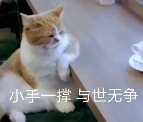 小手一撑 与世无争（猫咪表情包）