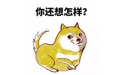 你还想怎样？ - 妈的智障，doge 表情包