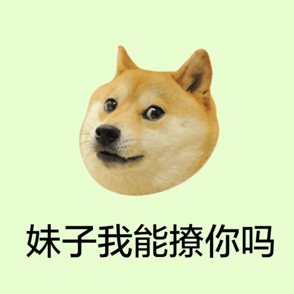 妹子我能撩你吗 - 柴犬 doge头像系列