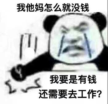 我他妈怎么就没钱，我要是有钱还需要去工作吗？（熊猫头拍桌子表情包）