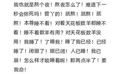 我也就是熬个夜!熬夜怎么了!难道下一秒会猝死吗!管ㄚ的!就熬!就熬!就熬!本尊睡不着!对着天花板数羊都睡不着!睡不着数羊有用?对天花板数羊没用!我睡了!了睡我!睡了我已经!已经睡了!闭眼了!眼已闭!人已睡!我已崩!怎么样才能睡着啊!都两点半了!要我命!(发疯文学表情包)