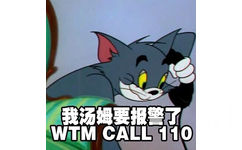 我汤姆要报警了  WTM CALL 110 - 猫和老鼠系列