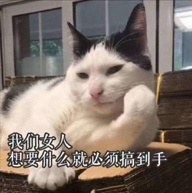 我们女人想要什么就必须搞到手（猫咪表情包）