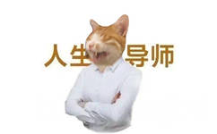 人生导师(猫猫表情包)