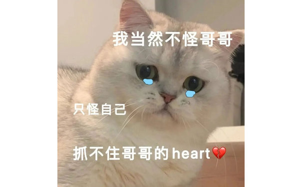 我当然不怪哥哥只怪自己抓不住哥哥的heart