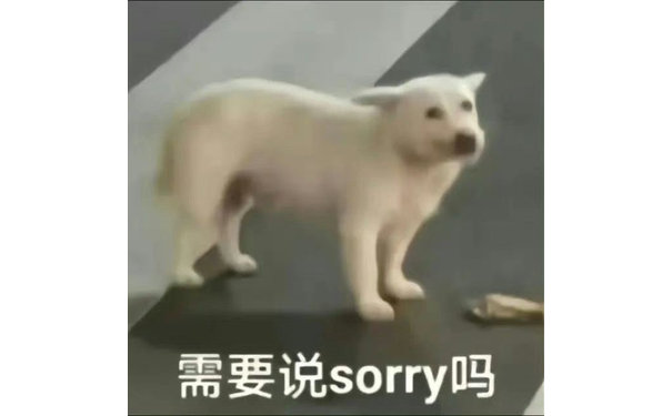 需要说sorry吗(狗狗表情包)