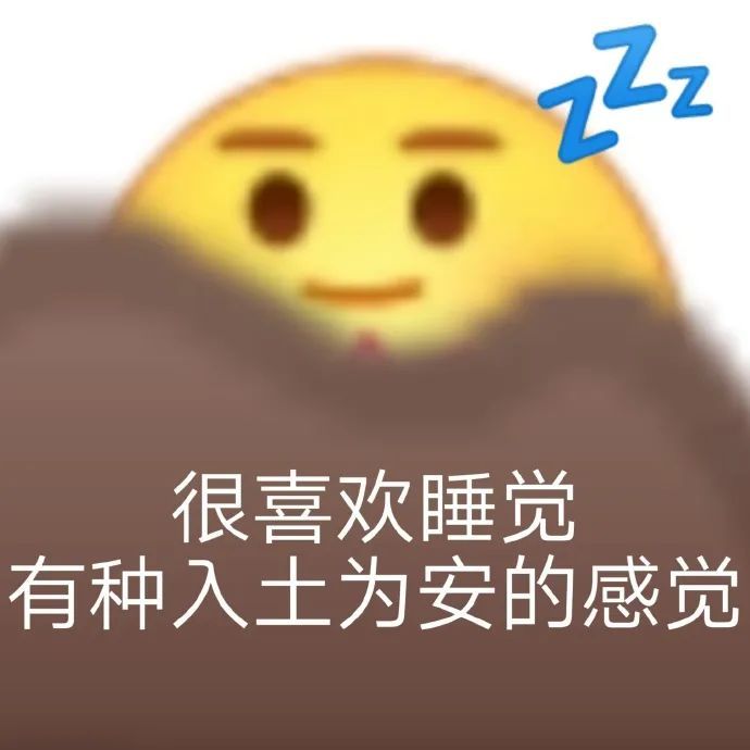 很喜欢睡觉有种入土为安的感觉 - emoji组合表情包