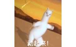 动起来！（沙雕羊驼 GIF 动图）