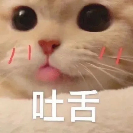 吐舌(可爱猫咪表情包)