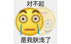 对不起是我肤浅了