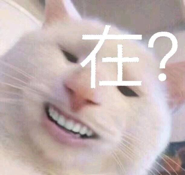 变脸猫：在？ - 近期表情包原图精选