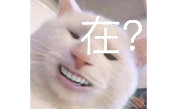 变脸猫：在？ - 近期表情包原图精选