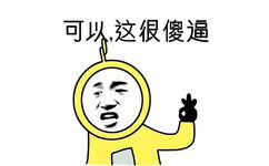 可以，这很傻逼 - 可以，这很可以！