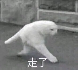 走了(猫咪表情包)