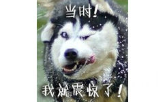 当时！我就震惊了！ - doge表情包