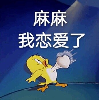 麻麻我恋爱了