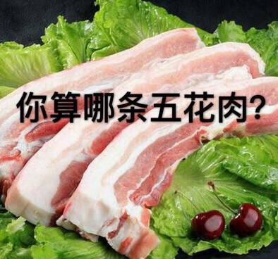 你算哪条五花肉 - 你算个什么东西？