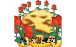 鲜花赠美女