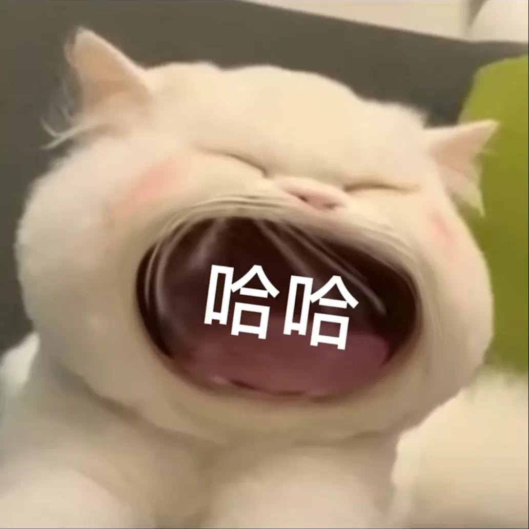 哈哈 - 大嘴猫猫咪表情包