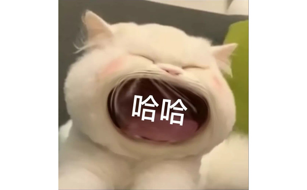 哈哈 - 大嘴猫猫咪表情包