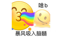 啥b暴风吸入脑髓 - 小黄豆表情包