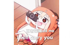 王者荣耀dmewill carry you (干物妹小埋表情包)