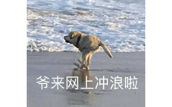 爷来网上冲浪啦