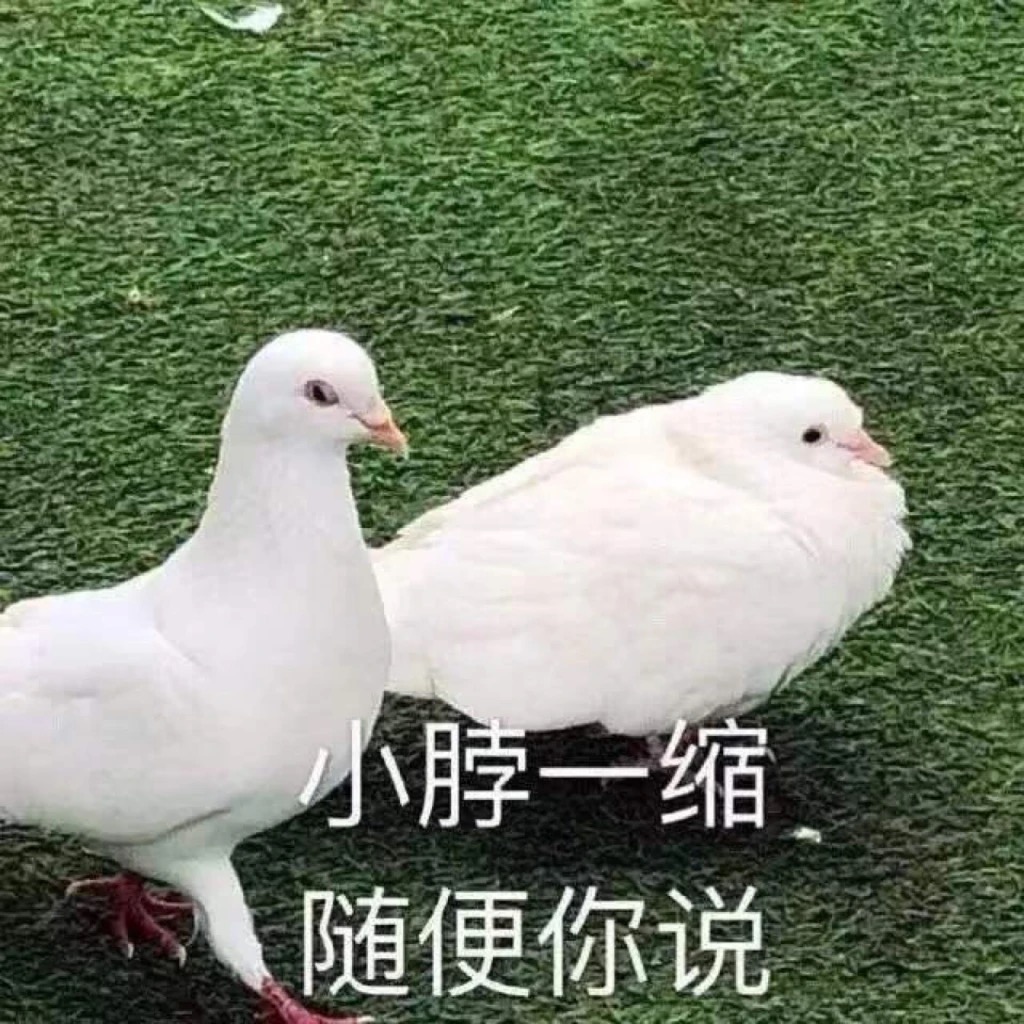 小脖一缩 随便你说